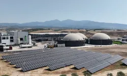 EcoGreen halka arzındaki 'ruhsat' sorunu kafa karıştırdı!