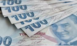 Önümüzdeki hafta 2 şirket temettü ödemesi yapacak