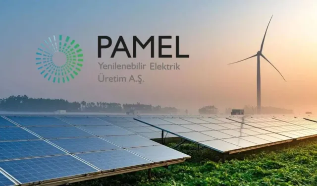 PAMEL’de manipülasyon iddiası etkisi: Hisse taban oldu