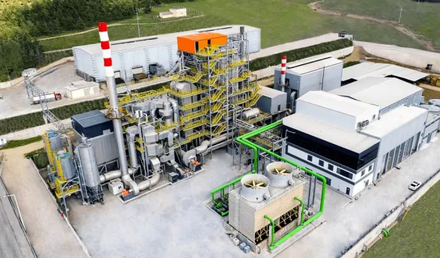 Ecogreen Enerji Holding halka arzı bireysele kaç lot verir?