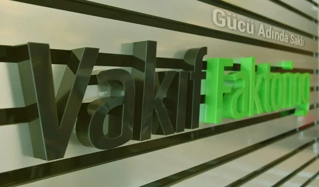 Vakıf Faktoring halka arzında bireysele kaç lot düştü?