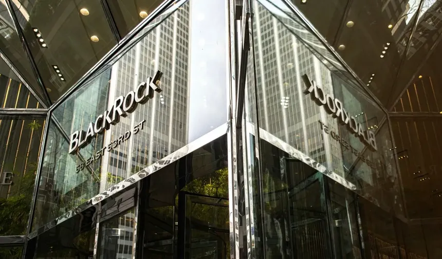 BlackRock'ın yönettiği fon Türkiye’den neden kaçtı?