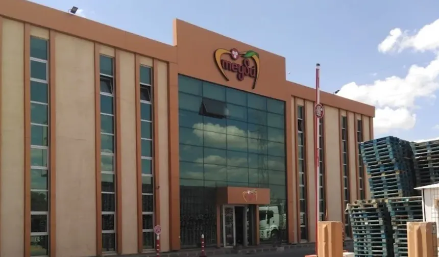 Meysu Gıda ilk işlem gününde tavan oldu