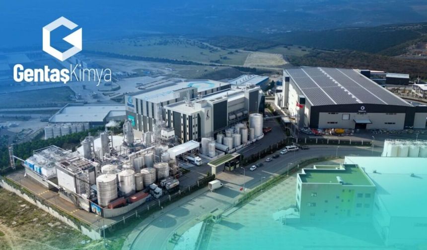 Gentaş Kimya halka arzına ilişkin bilgiler