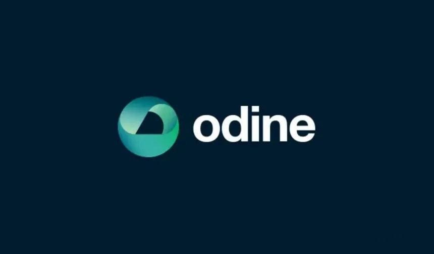 Fon krizinin gündemindeki ODINE'den KAP açıklaması